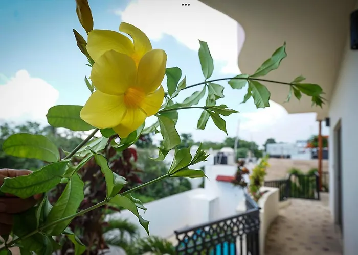 Stella Maris Hotel 4*